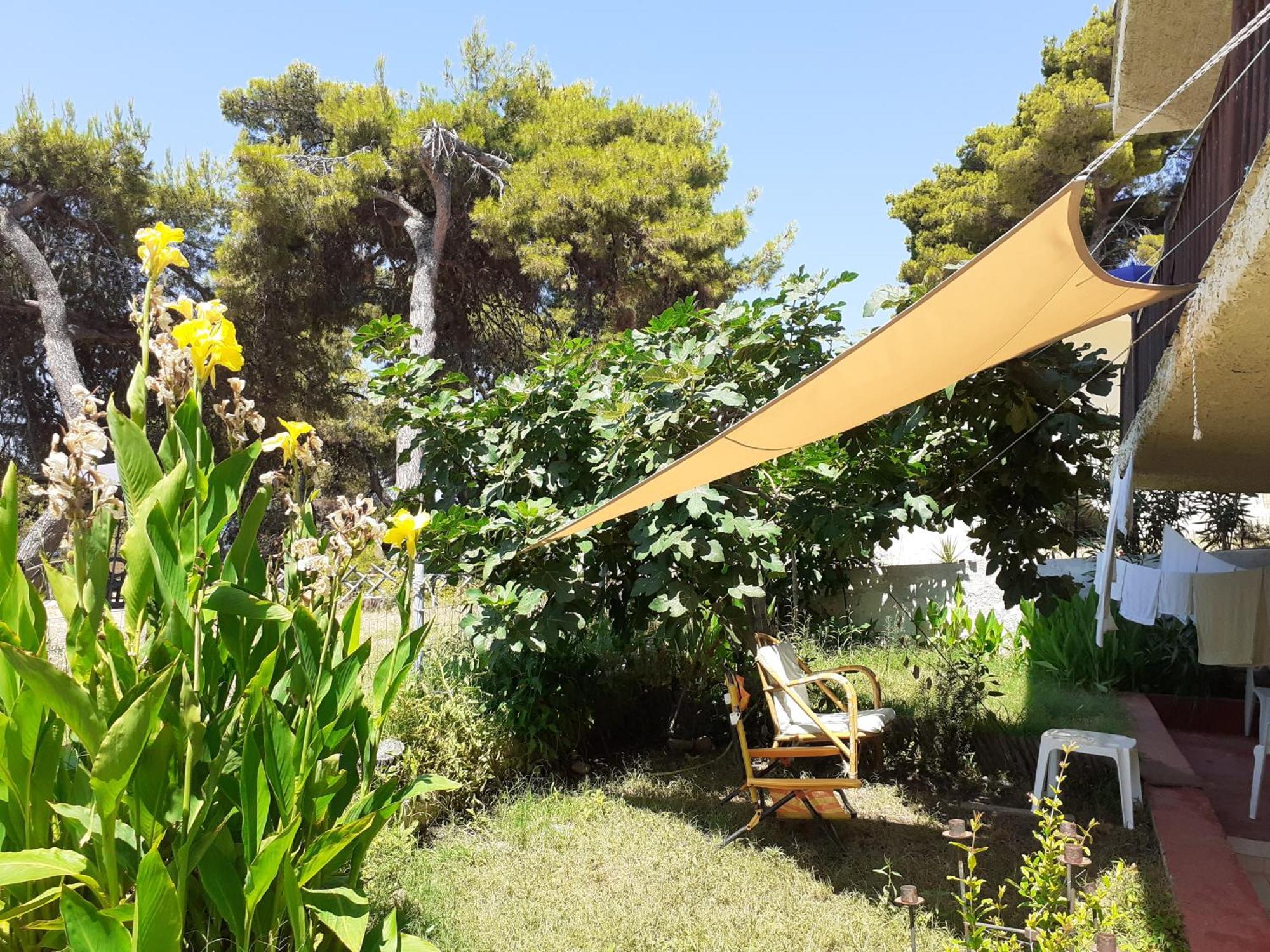 Traditional Guest House Agia Paraskevi  Exterior foto