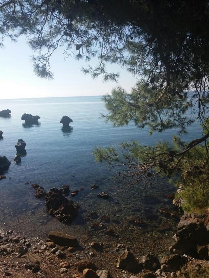 Traditional Guest House Agia Paraskevi  Exterior foto